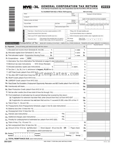Fillable Nyc 3L Form in PDF