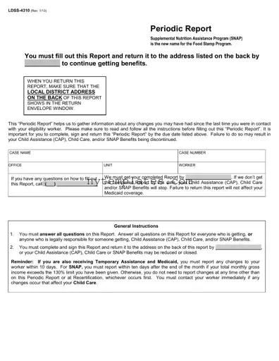 Fillable Snap Periodic Report Nyc Form in PDF